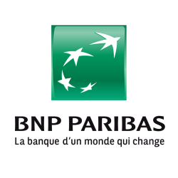 bnplogo